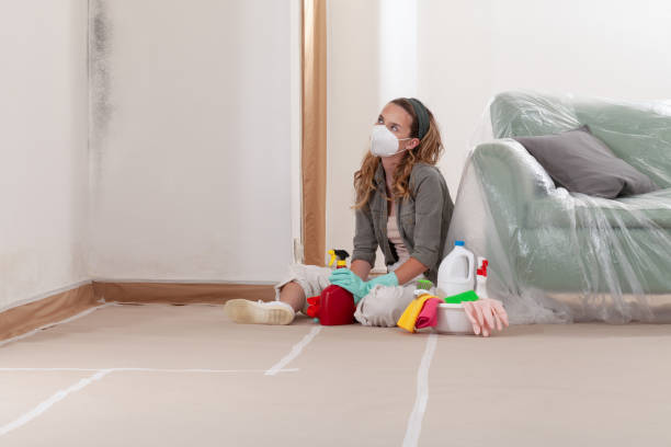 Reliable Mold Remediation contractor in Mahwah, NJ by Cheap Mold Removal